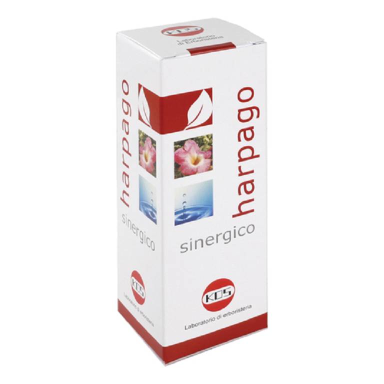 HARPAGO SINERGICO GTT 100ML