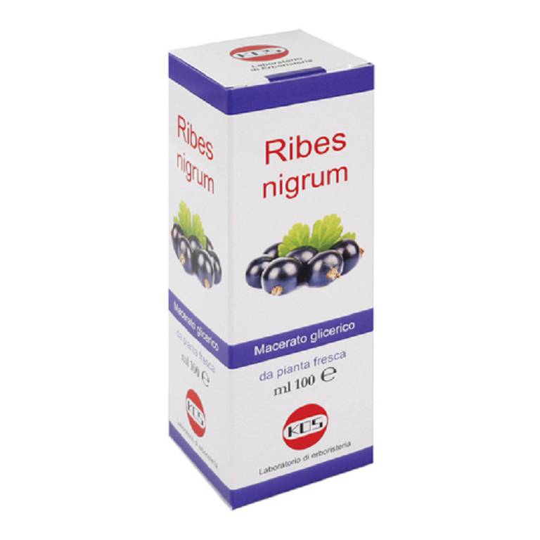 RIBES NIGRUM MG 100ML GTT