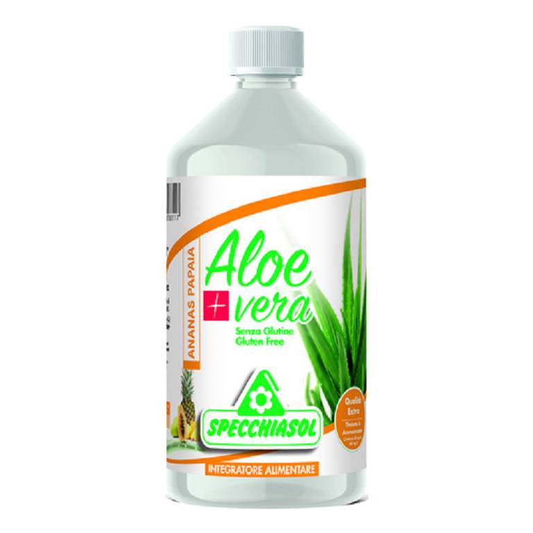 SUCCO ALOEVERA+ ANAN/PAP1000ML